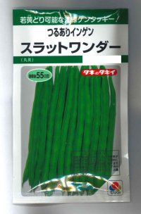 [いんげん]　つるあり　スラットワンダー　45ml　タキイ種苗　GF　