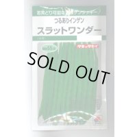 送料無料　[いんげん]　つるあり　スラットワンダー　45ml　タキイ種苗　GF