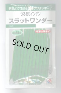 送料無料　[いんげん]　つるあり　スラットワンダー　45ml　タキイ種苗　GF