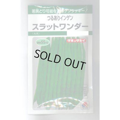 画像1: 送料無料　[いんげん]　つるあり　スラットワンダー　45ml　タキイ種苗　GF