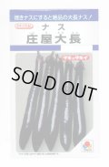 送料無料　[なす]　庄屋大長　50粒　タキイ種苗(株)　DF