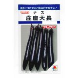 送料無料　[なす]　庄屋大長　50粒　タキイ種苗(株)　DF