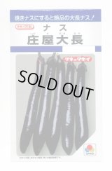 送料無料　[なす]　庄屋大長　50粒　タキイ種苗(株)　DF