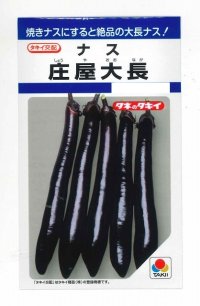 [なす]　庄屋大長　50粒　タキイ種苗（株）　DF