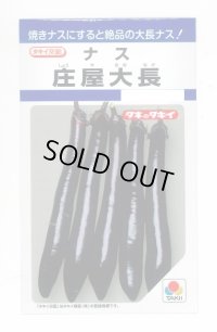 送料無料　[なす]　庄屋大長　50粒　タキイ種苗(株)　DF