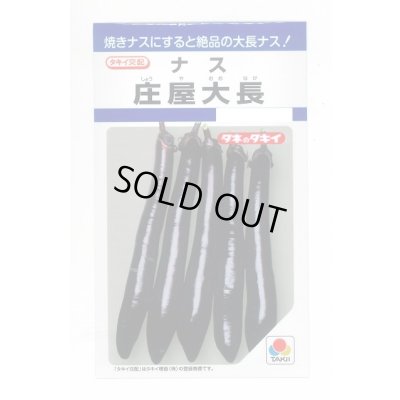画像1: 送料無料　[なす]　庄屋大長　50粒　タキイ種苗(株)　DF