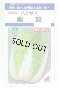 送料無料　[白菜]　無双　2.2ml（約280粒）　タキイ種苗(株)　DF