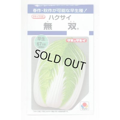 画像1: 送料無料　[白菜]　無双　2.2ml（約280粒）　タキイ種苗(株)　DF