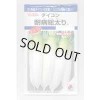 送料無料　[大根]　耐病総太り　16ml　タキイ種苗(株)　DF