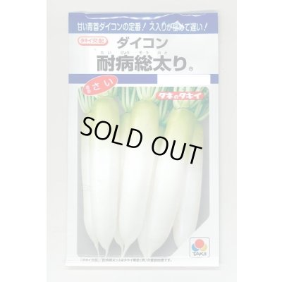 画像1: 送料無料　[大根]　耐病総太り　16ml　タキイ種苗(株)　DF