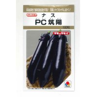 [なす]　PC筑陽　100粒　タキイ種苗（株）