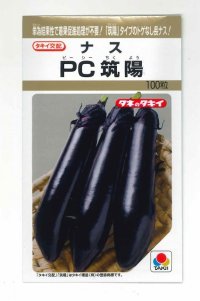 [なす]　PC筑陽　100粒　タキイ種苗（株）