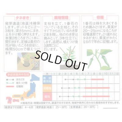 画像2: 送料無料　[トウガラシ]　福耳ジロー　約25粒　(株)サカタのタネ　実咲450（003730）