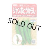 送料無料　[トウガラシ]　福耳ジロー　約25粒　(株)サカタのタネ　実咲450（003730）