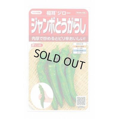 画像1: 送料無料　[トウガラシ]　福耳ジロー　約25粒　(株)サカタのタネ　実咲450（003730）