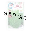 送料無料　花の種　コキア(ほうき草)　グリーン　約40粒　(株)サカタのタネ　実咲200（026325）
