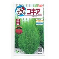 花の種　コキア（ほうき草）　グリーン  約40粒　　サカタのタネ（株）実咲200