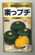送料無料　[かぼちゃ]　栗っプチ　25粒　(株)サカタのタネ　実咲PRO