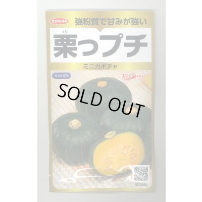 画像1: 送料無料　[かぼちゃ]　栗っプチ　25粒　(株)サカタのタネ　実咲PRO