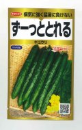 送料無料　[キュウリ]　ずーっととれる　40粒　(株)サカタのタネ　実咲PRO