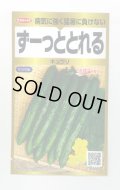 送料無料　[キュウリ]　ずーっととれる　40粒　(株)サカタのタネ　実咲PRO