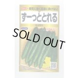 送料無料　[キュウリ]　ずーっととれる　40粒　(株)サカタのタネ　実咲PRO