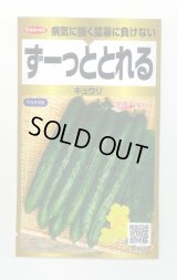 送料無料　[キュウリ]　ずーっととれる　40粒　(株)サカタのタネ　実咲PRO