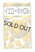 送料無料　ミニトマト　イエローキャロル　40粒　(株)サカタのタネ　実咲PRO