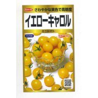 送料無料 　ミニトマト　イエローキャロル　40粒　サカタのタネ　実咲PRO