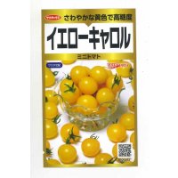 送料無料　ミニトマト　イエローキャロル　40粒　(株)サカタのタネ　実咲PRO