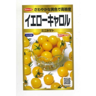 画像1: 送料無料　ミニトマト　イエローキャロル　40粒　(株)サカタのタネ　実咲PRO