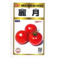 送料無料　[トマト]　麗月　40粒　(株)サカタのタネ　実咲PRO　003737