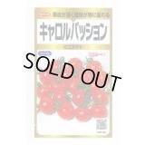 送料無料　[トマト/ミニトマト]　キャロルパッション　40粒　(株)サカタのタネ　実咲PRO