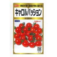 [トマト/ミニトマト]　キャロルパッション　40粒　サカタのタネ　実咲PRO