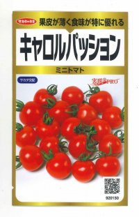 [トマト/ミニトマト]　キャロルパッション　40粒　サカタのタネ（株）　実咲PRO