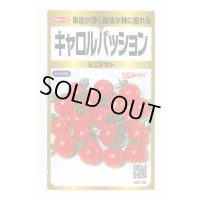 送料無料　[トマト/ミニトマト]　キャロルパッション　40粒　(株)サカタのタネ　実咲PRO