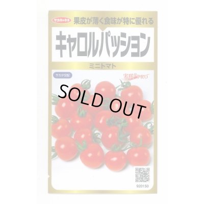 画像1: 送料無料　[トマト/ミニトマト]　キャロルパッション　40粒　(株)サカタのタネ　実咲PRO