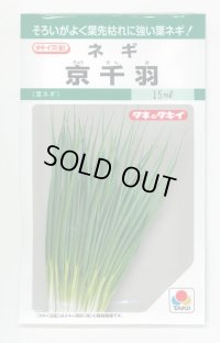 送料無料　[ねぎ]　京千羽　15ml　タキイ種苗　GF