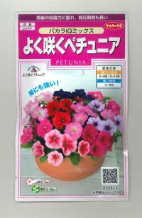花の種　よく咲くペチュニア　バカラIQミックス　約50粒　実咲350