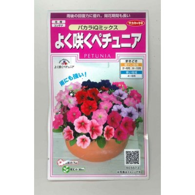 画像1: 花の種　よく咲くペチュニア　バカラIQミックス　約50粒　実咲350