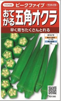 [オクラ]　ピークファイブ　約60粒　サカタ交配　実咲