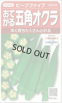 送料無料　[オクラ]　ピークファイブ　約60粒　(株)サカタのタネ　実咲350（002899）