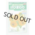 送料無料　花の種　花の種　八重咲ひまわり　オレンジグローブ　20粒　(株)サカタのタネ　実咲250（027727）