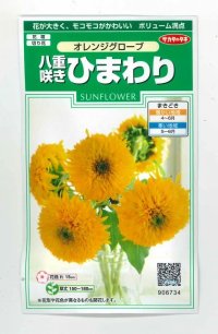 [花種/小袋]　八重咲ひまわり　オレンジグローブ　20粒　サカタのタネ（株）　（実咲200）