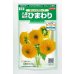 画像1: 送料無料　花の種　花の種　八重咲ひまわり　オレンジグローブ　20粒　(株)サカタのタネ　実咲250（027727） (1)