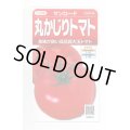 送料無料　[トマト/大玉トマト]　サンロード　11粒　(株)サカタのタネ　実咲450（002812）
