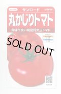 送料無料　[トマト/大玉トマト]　サンロード　11粒　(株)サカタのタネ　実咲450（002812）