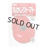 送料無料　[トマト/大玉トマト]　サンロード　11粒　(株)サカタのタネ　実咲450（002812）
