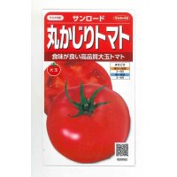 [トマト/大玉トマト]　サンロード　11粒　サカタのタネ　実咲