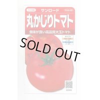 送料無料　[トマト/大玉トマト]　サンロード　11粒　(株)サカタのタネ　実咲450（002812）